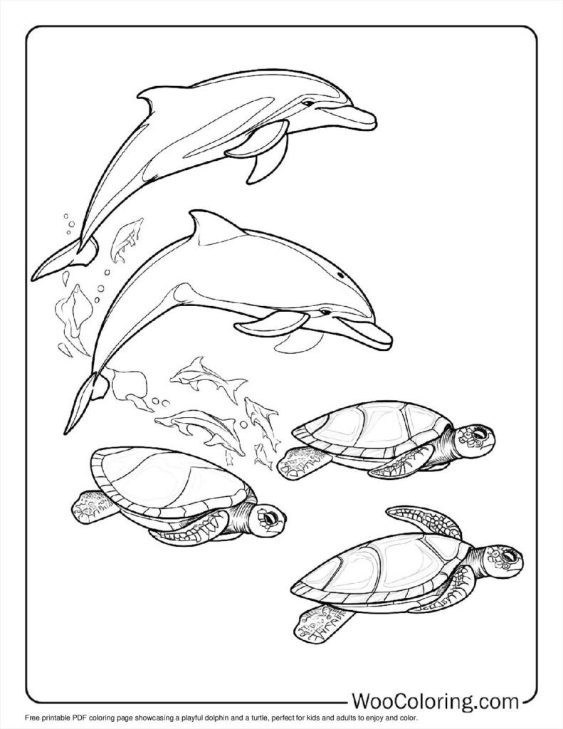 100  Dolphin coloring pages  Free PDF To Print  - 28