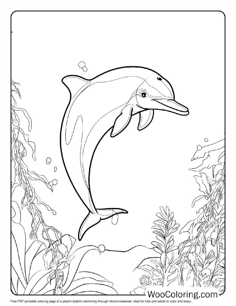 100  Dolphin coloring pages  Free PDF To Print  - 96