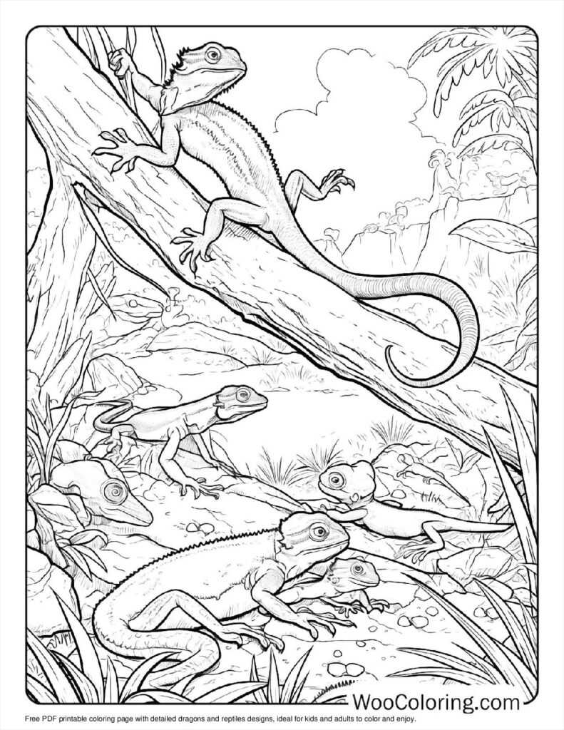 Dragon and Reptiles To Color
