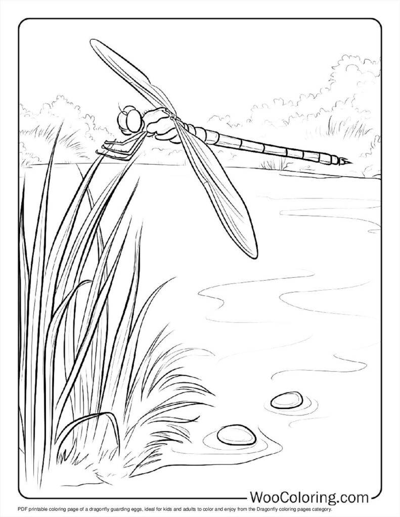 100  Dragonfly coloring pages  Free PDF To Print  - 16