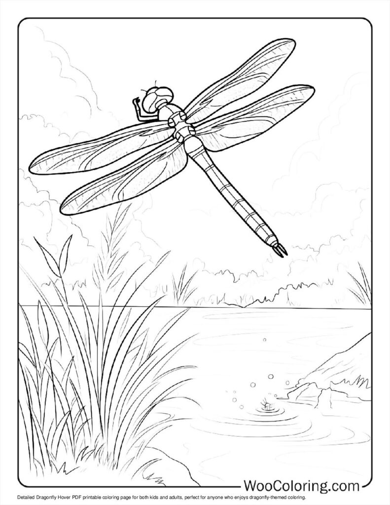 100  Dragonfly coloring pages  Free PDF To Print  - 3