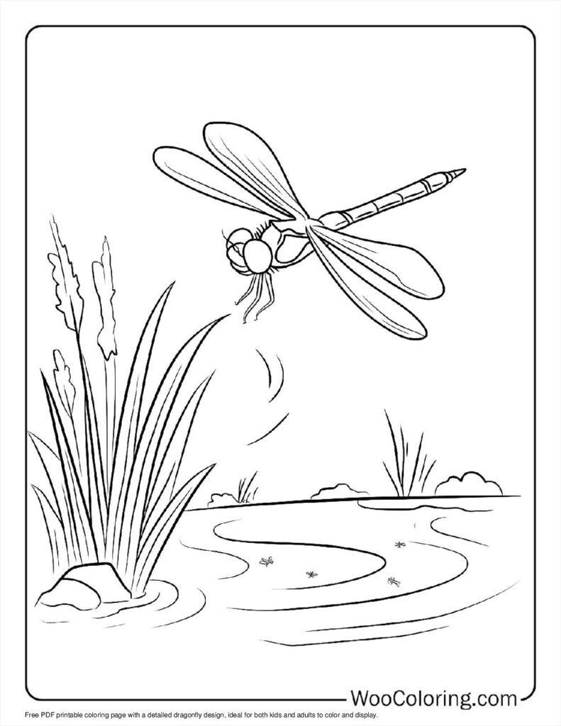 100  Dragonfly coloring pages  Free PDF To Print  - 87