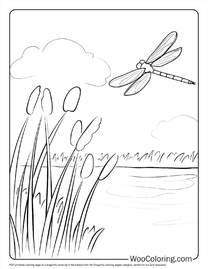 100  Dragonfly coloring pages  Free PDF To Print  - 62