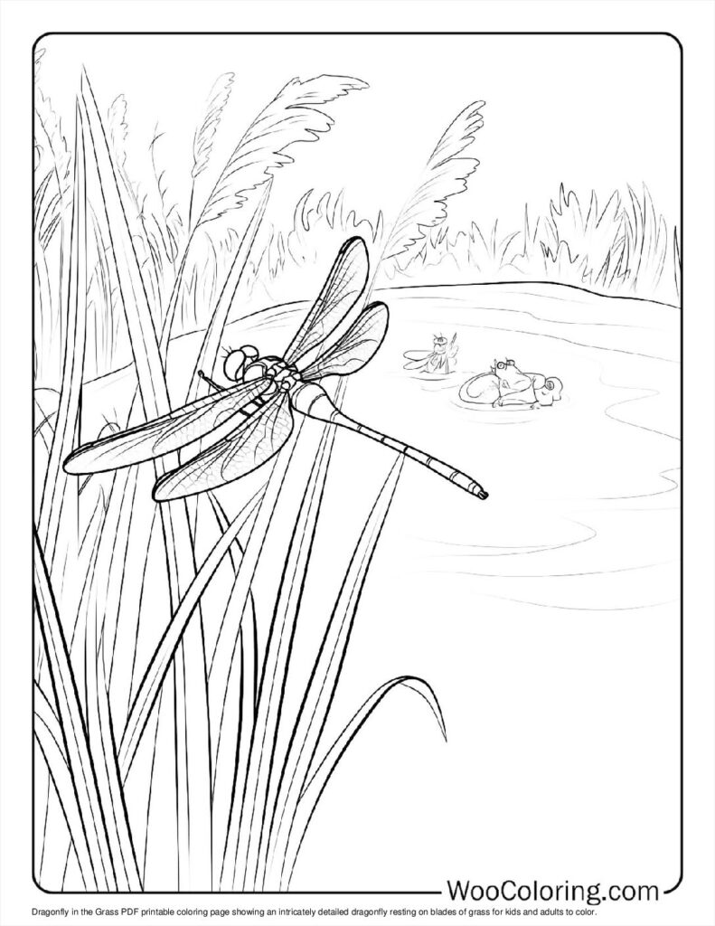 100  Dragonfly coloring pages  Free PDF To Print  - 34