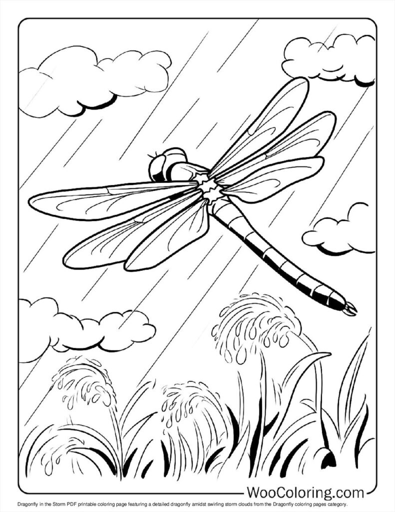 100  Dragonfly coloring pages  Free PDF To Print  - 17