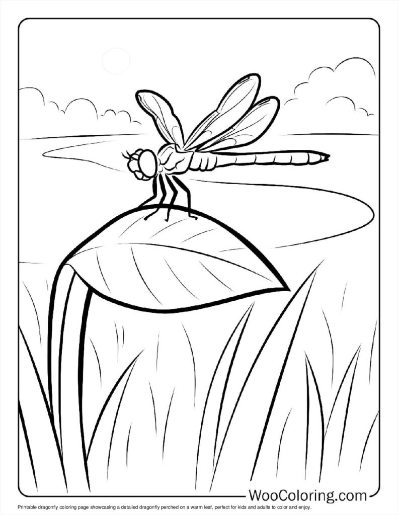 100  Dragonfly coloring pages  Free PDF To Print  - 8