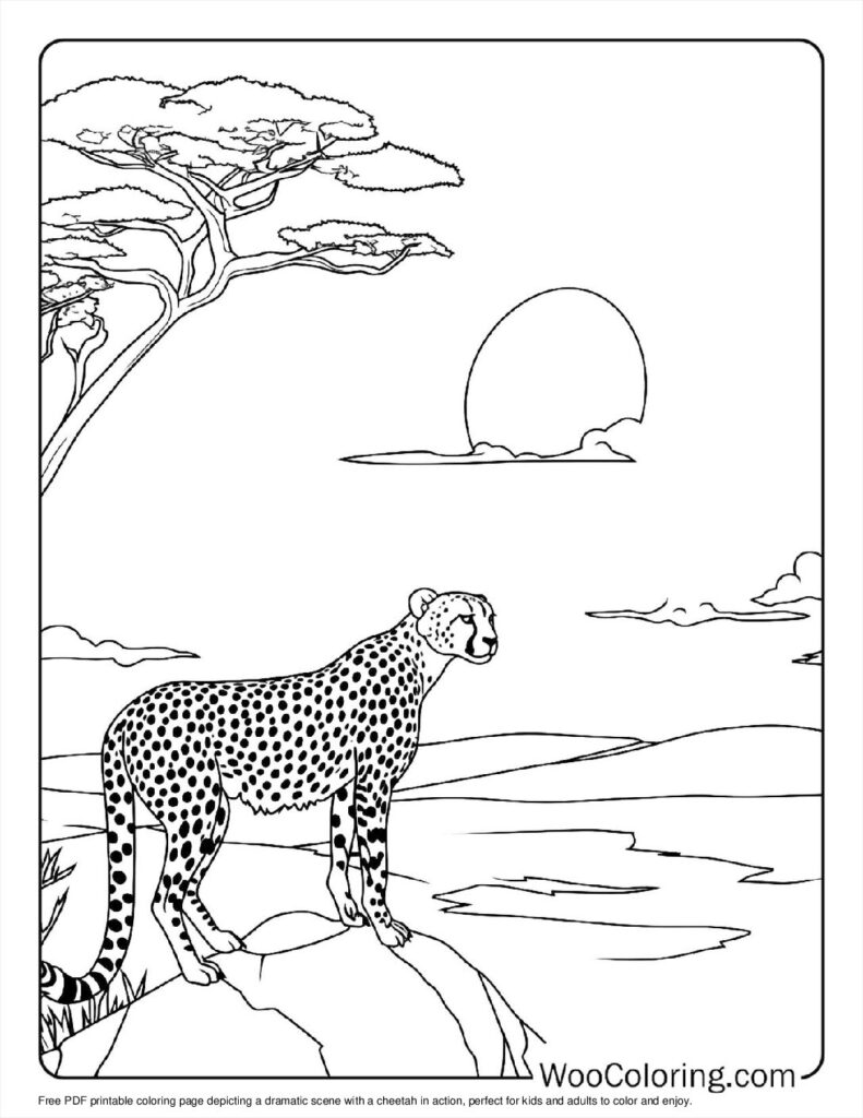 100  Cheetah coloring pages  Free PDF To Print  - 27
