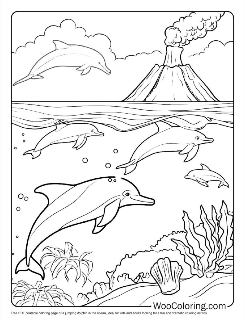 100  Dolphin coloring pages  Free PDF To Print  - 18