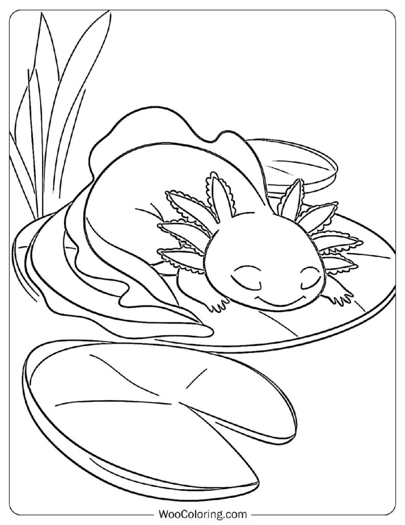 Dreaming Axolotl Friend
