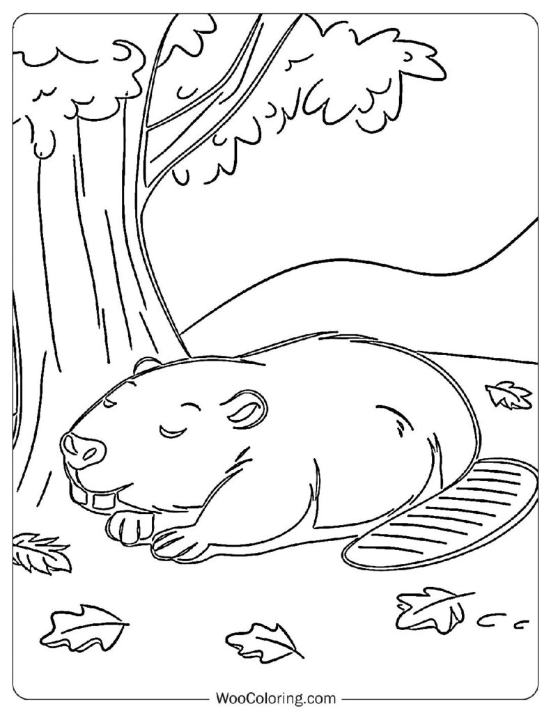 Dreaming Beaver