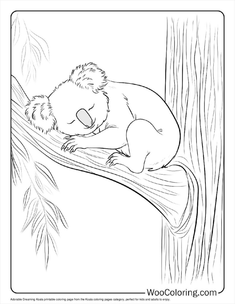 100  Koala coloring pages  Free PDF To Print  - 62