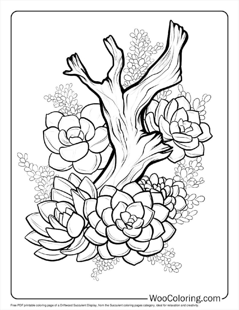 100  Succulent coloring pages  Free PDF To Print  - 4