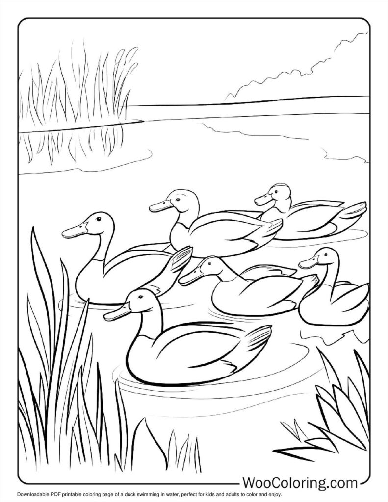 100  Duck coloring pages  Free PDF To Print  - 52