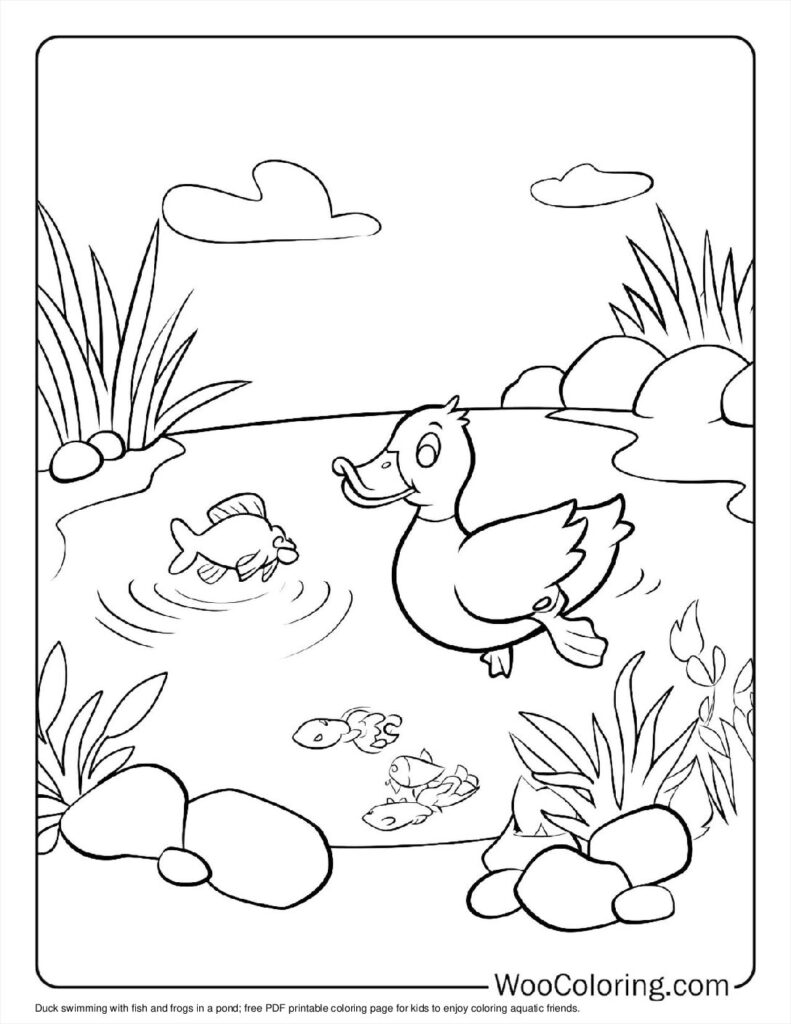 100  Duck coloring pages  Free PDF To Print  - 84