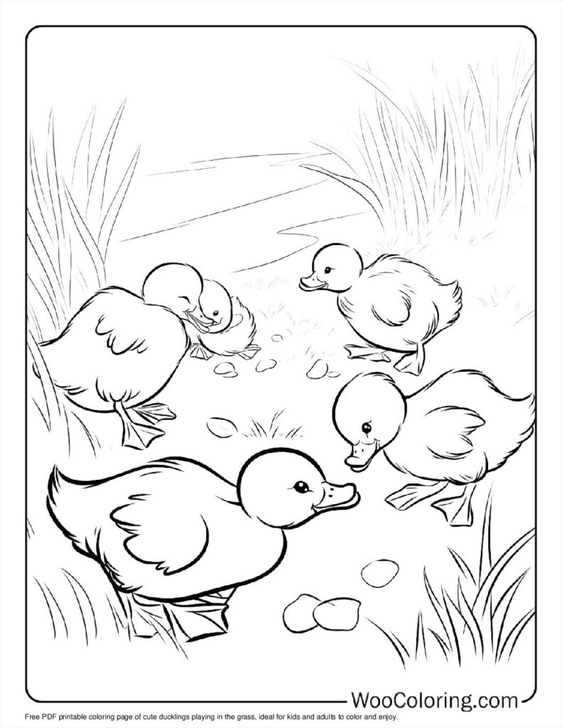 100  Duck coloring pages  Free PDF To Print  - 19