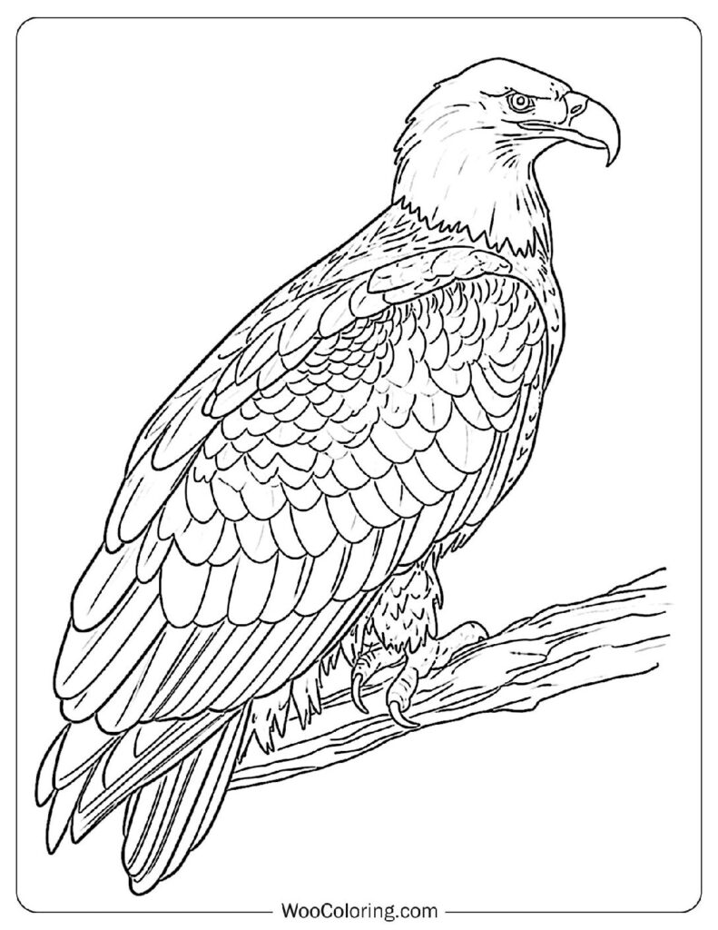 100  Bald Eagle coloring pages  Free PDF To Print  - 60