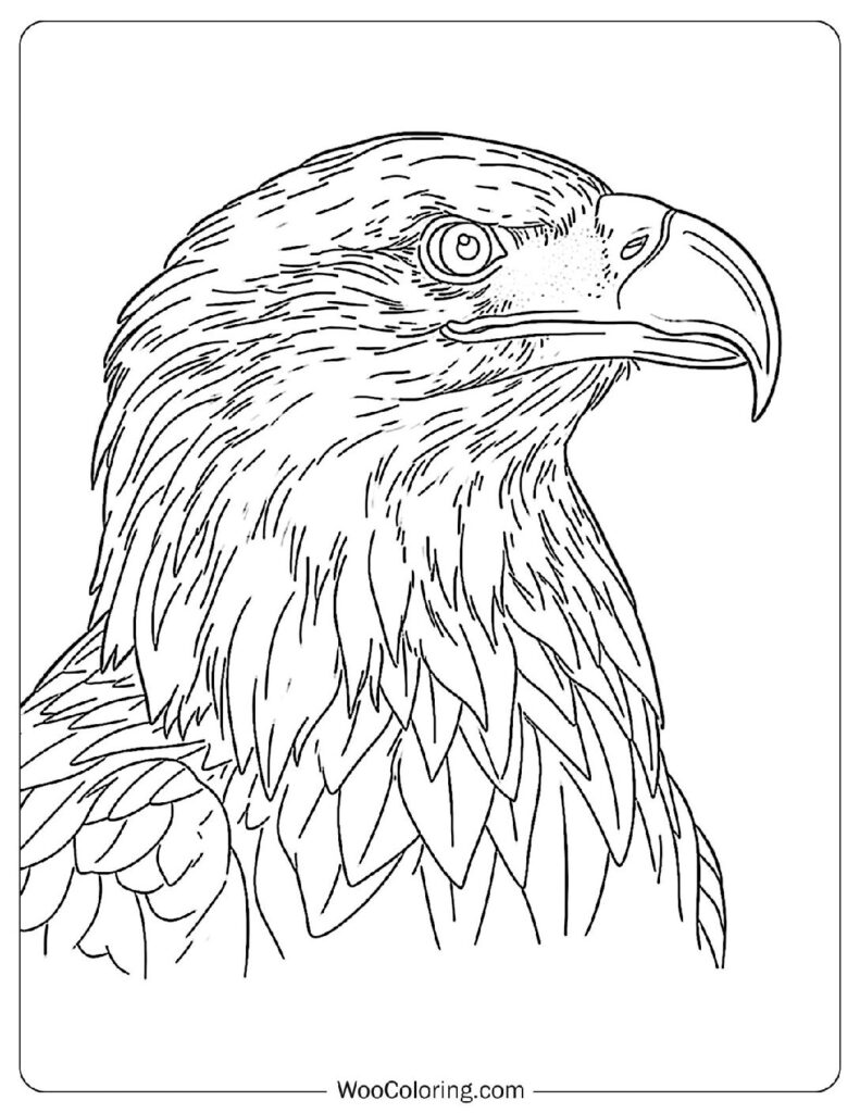 100  Bald Eagle coloring pages  Free PDF To Print  - 84
