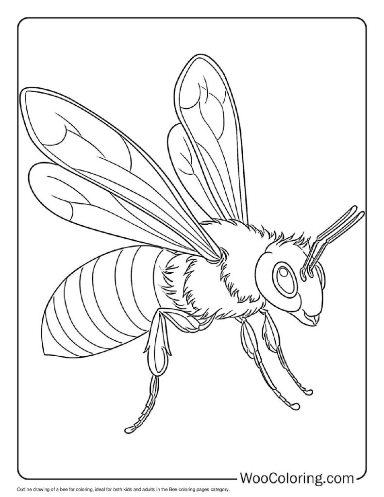 Easy Bee Outline For Kids