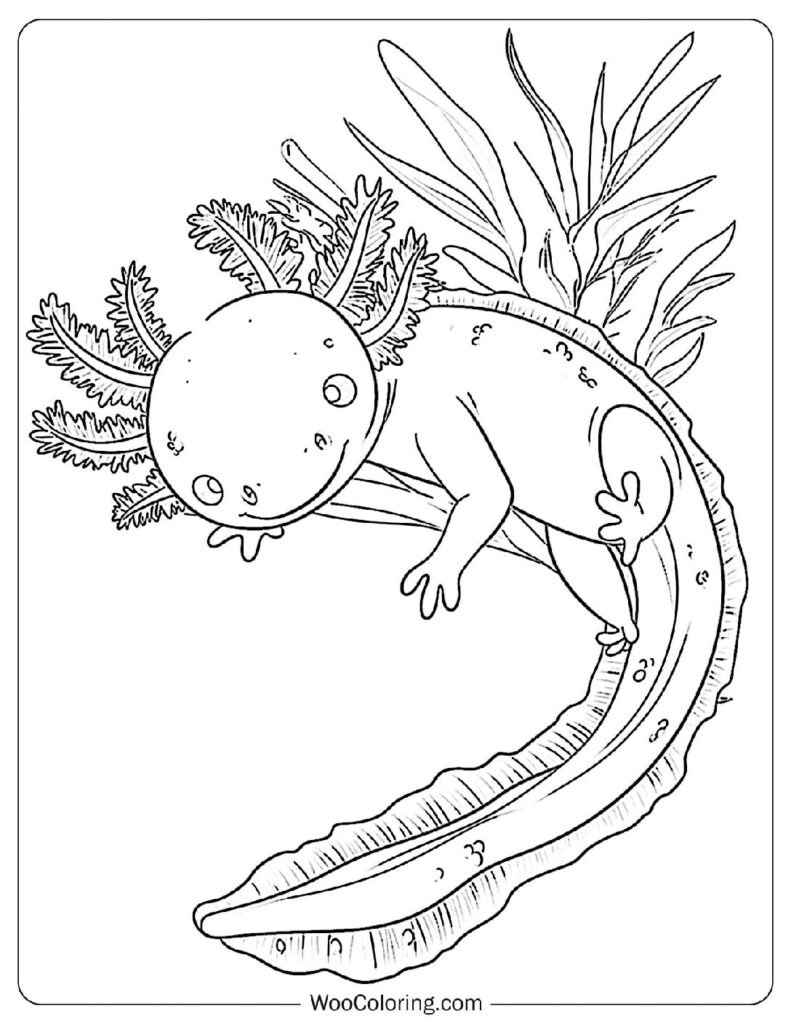 Elaborate Axolotl Coloring Page For Kids