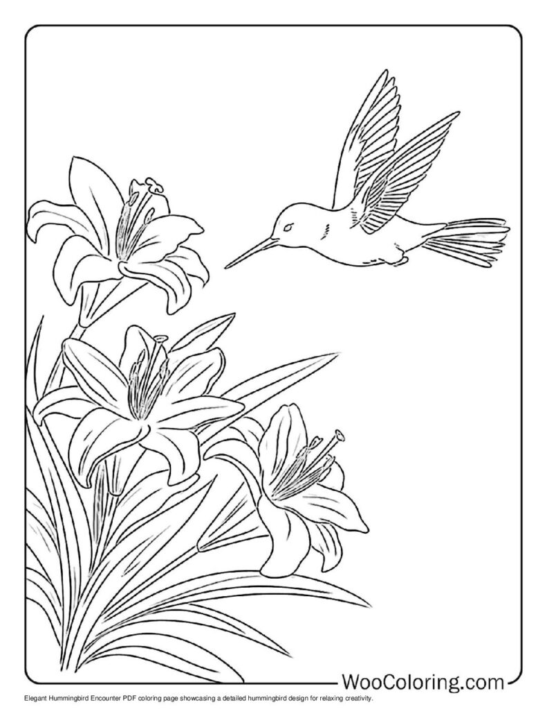 100 Hummingbird coloring pages Free PDF To Print - 16
