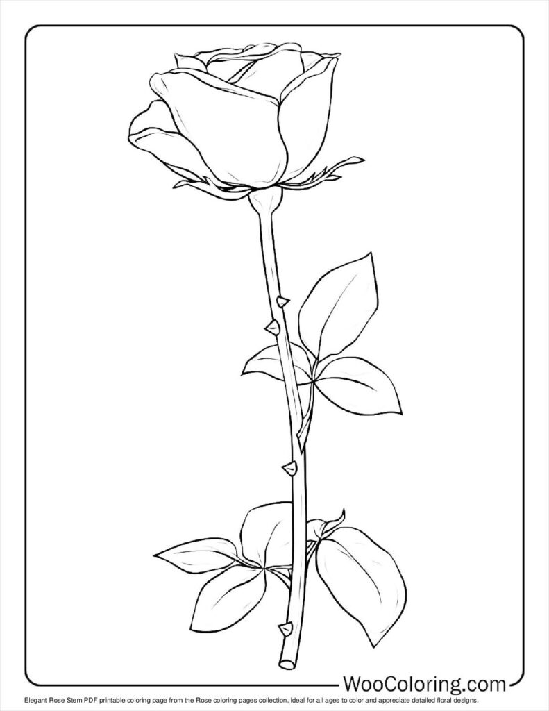 100  Rose coloring pages  Free PDF To Print  - 54