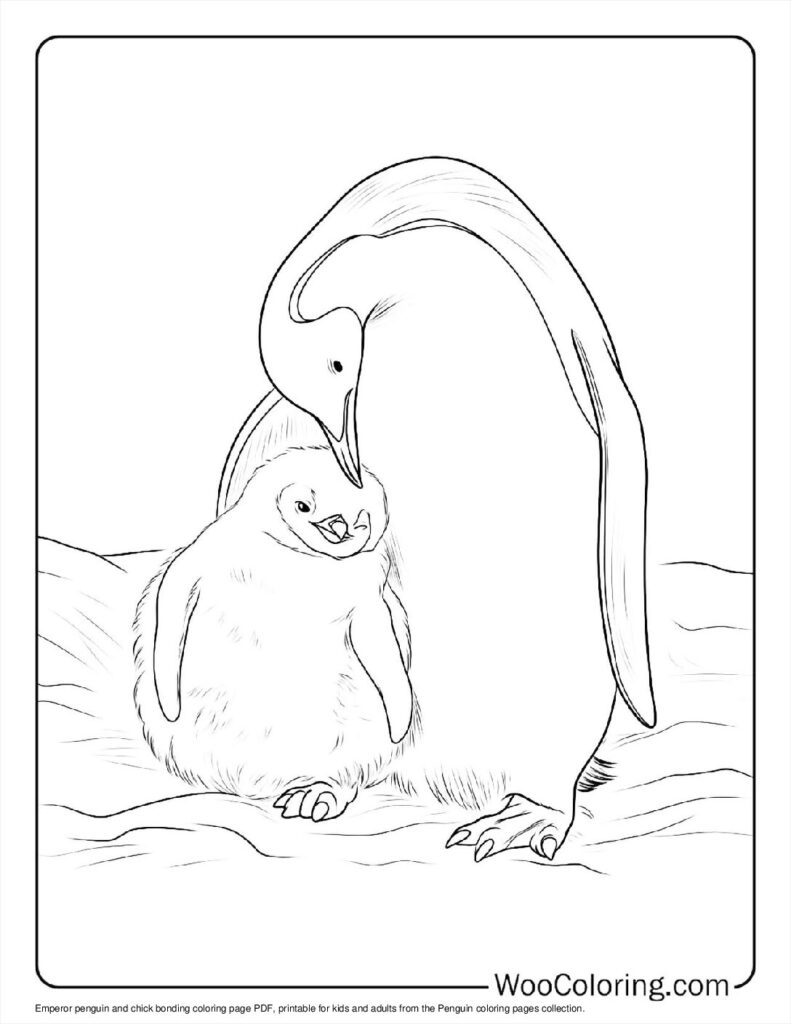100  Penguin coloring pages  Free PDF To Print  - 67