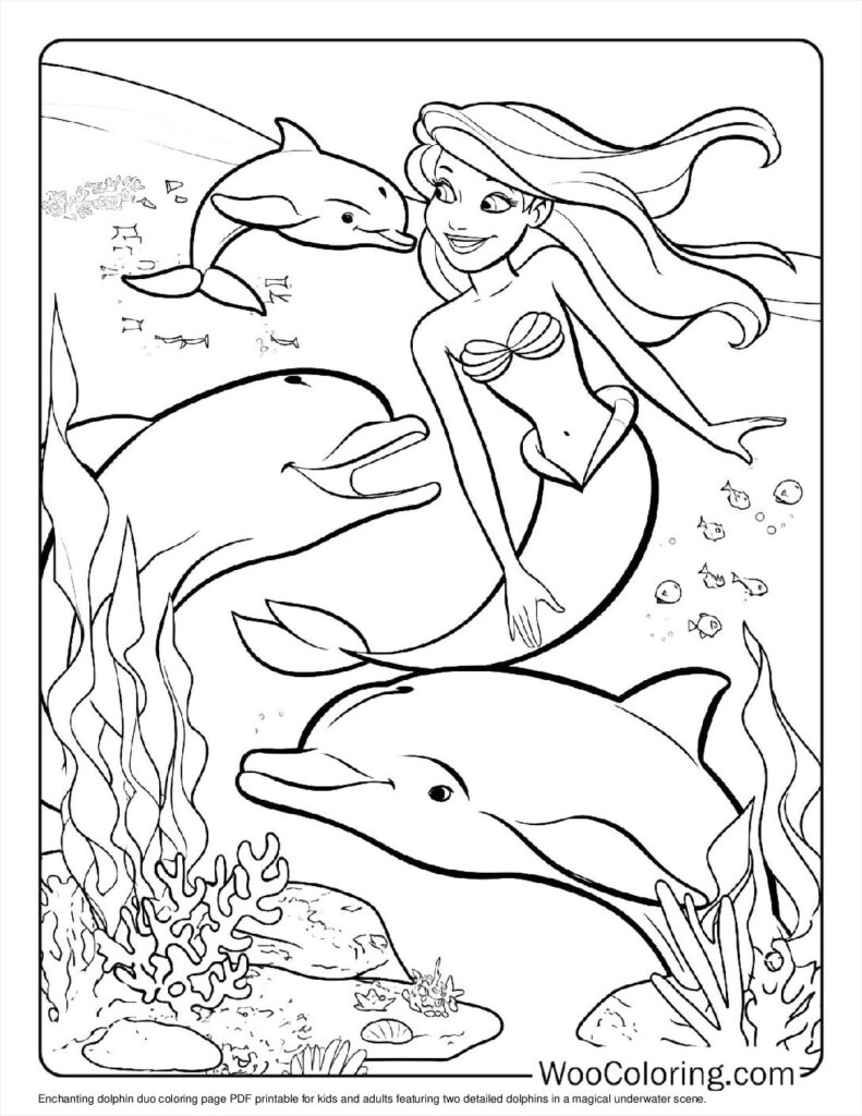 100  Dolphin coloring pages  Free PDF To Print  - 85