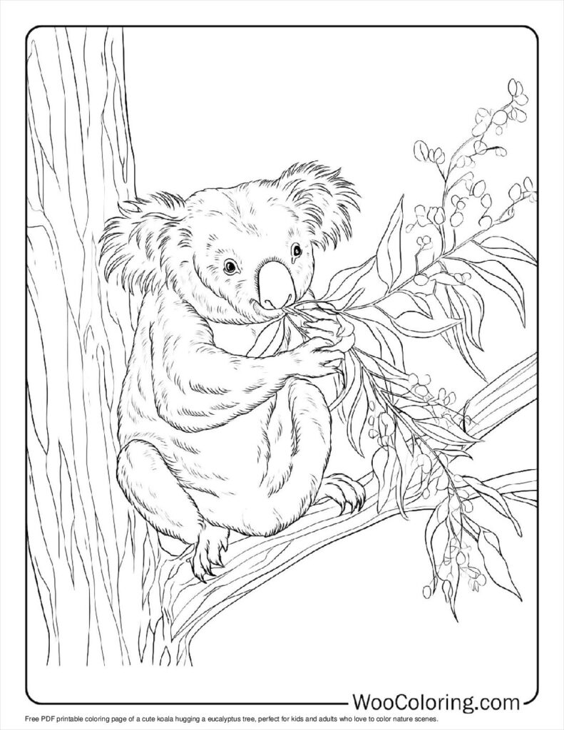 100  Koala coloring pages  Free PDF To Print  - 5