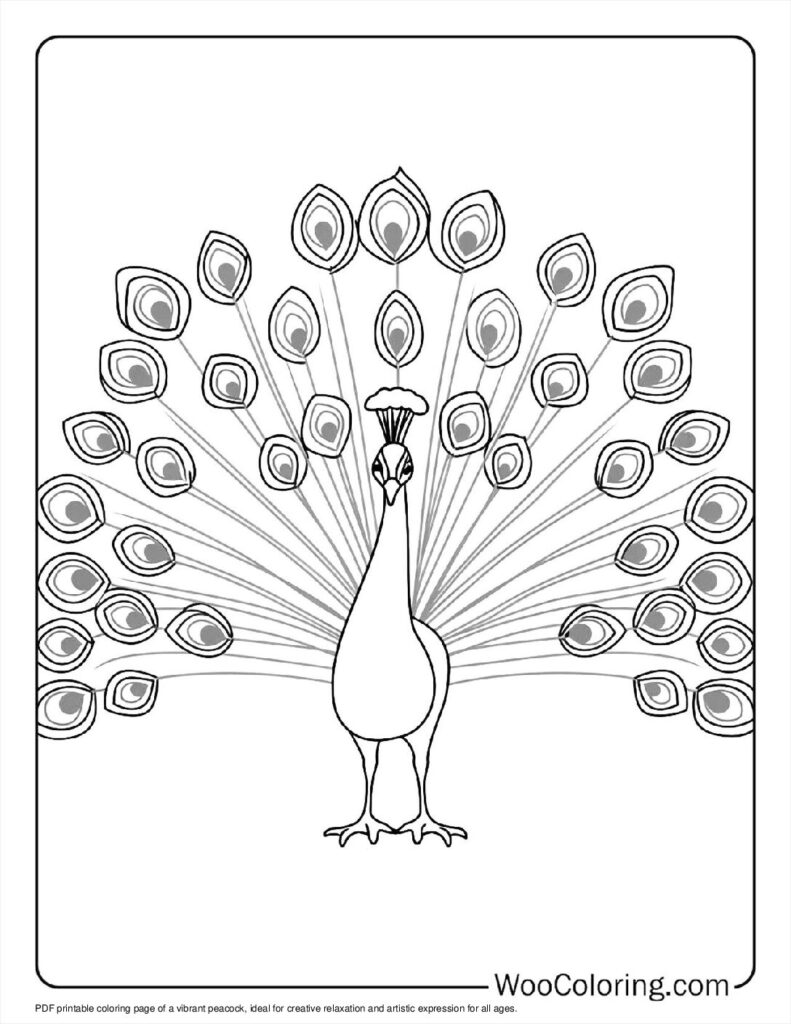 100  Peacock coloring pages  Free PDF To Print  - 4