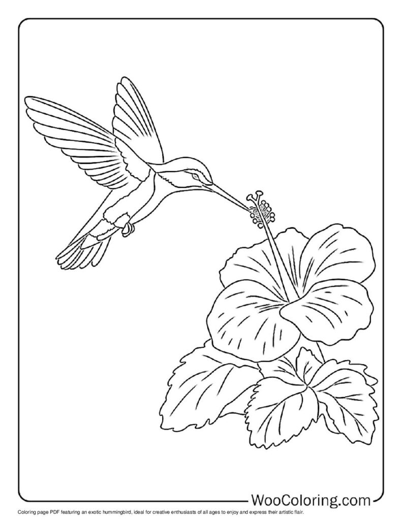 100 Hummingbird coloring pages Free PDF To Print - 86