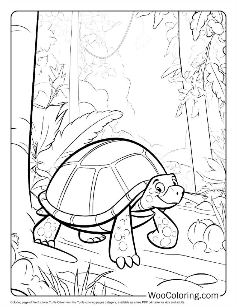 100  Turtle coloring pages  Free PDF To Print  - 22