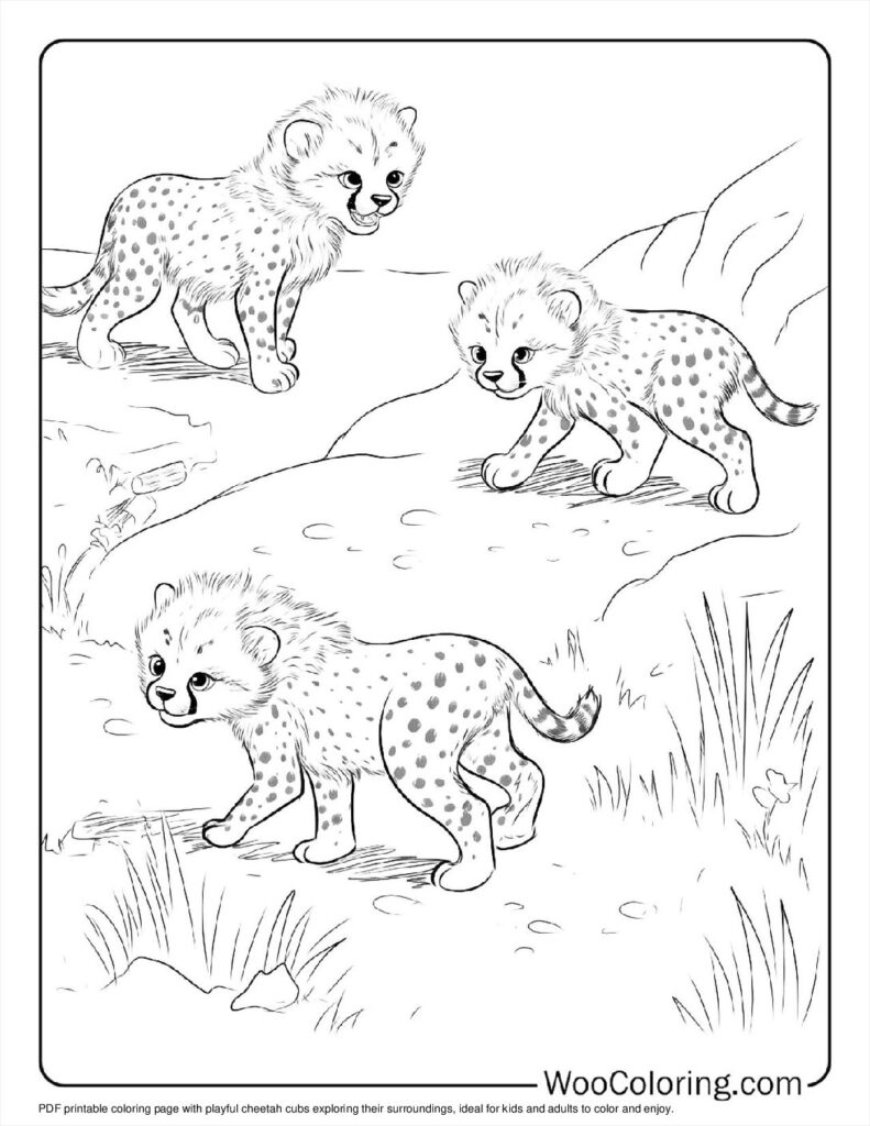 100  Cheetah coloring pages  Free PDF To Print  - 87