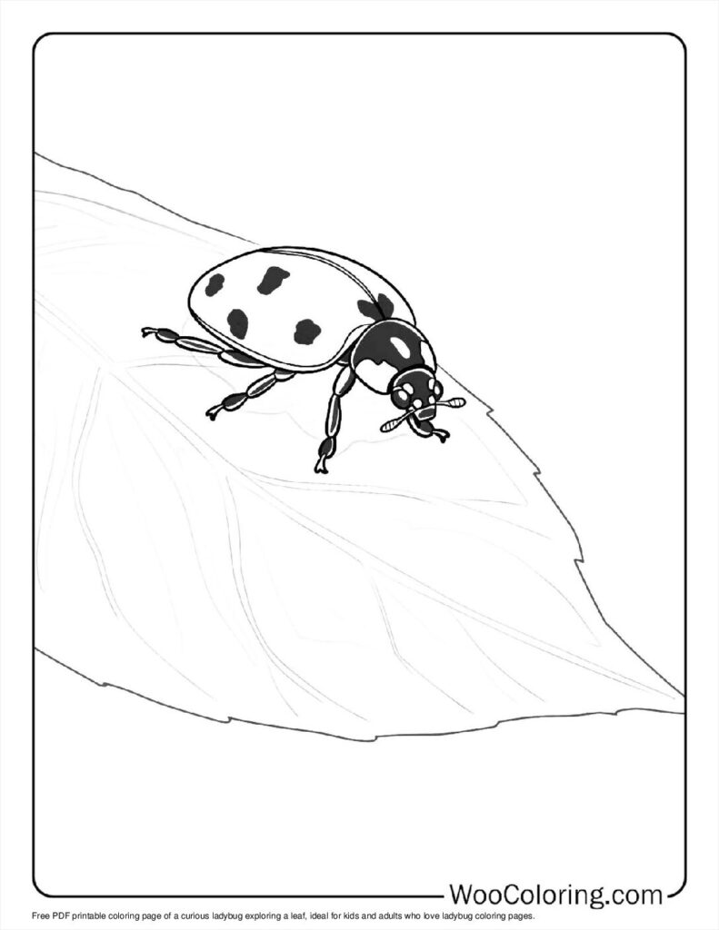 100  Ladybug coloring pages  Free PDF To Print  - 37