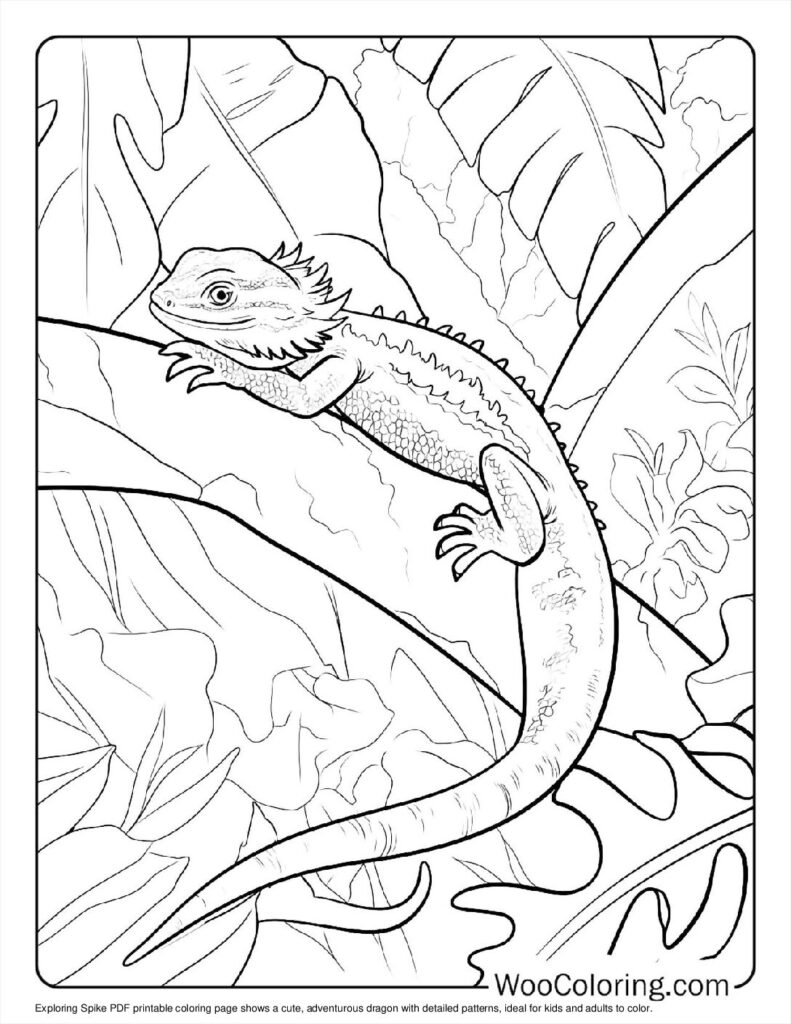 Exploring Spike (1)