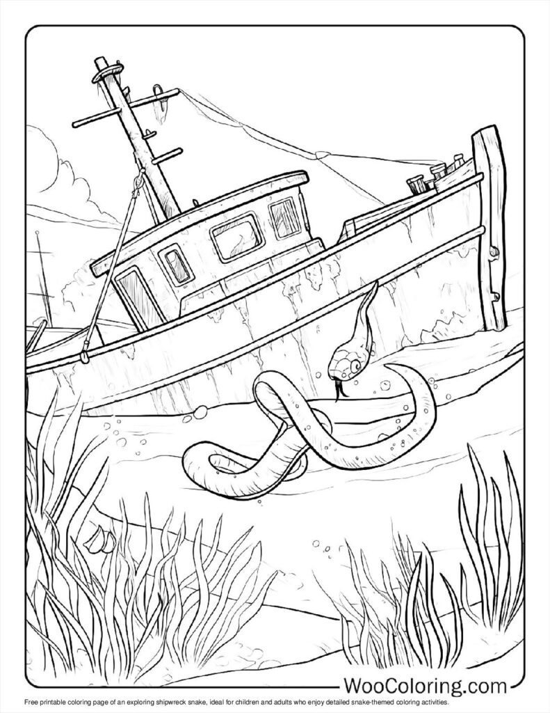 Exploring shipwreck snake