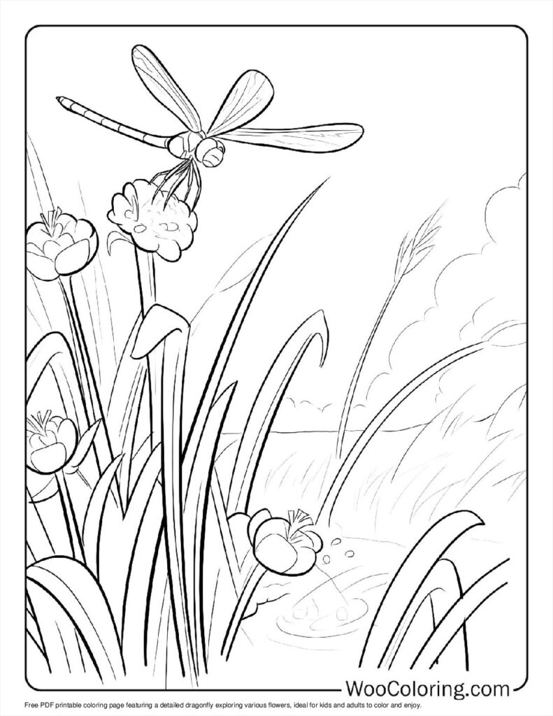 100  Dragonfly coloring pages  Free PDF To Print  - 25
