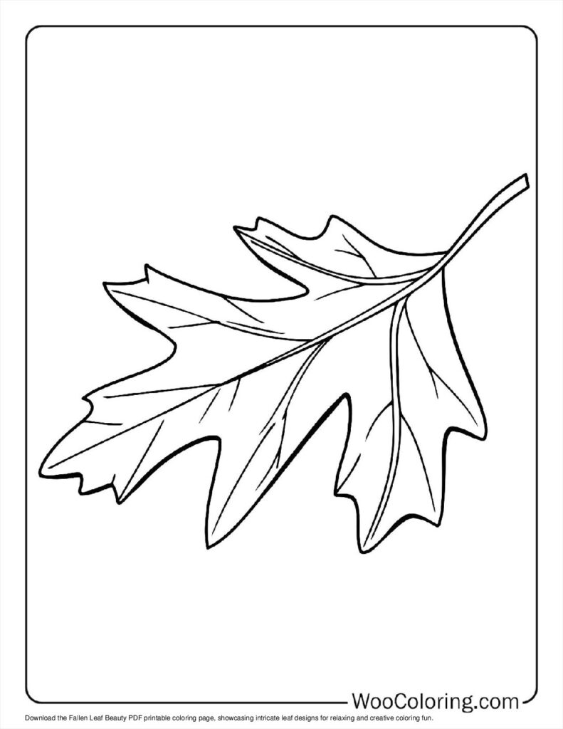 100  Leaf coloring pages  Free PDF To Print  - 51