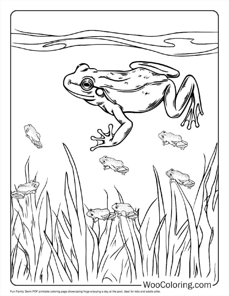 100  Frog coloring pages  Free PDF To Print  - 96