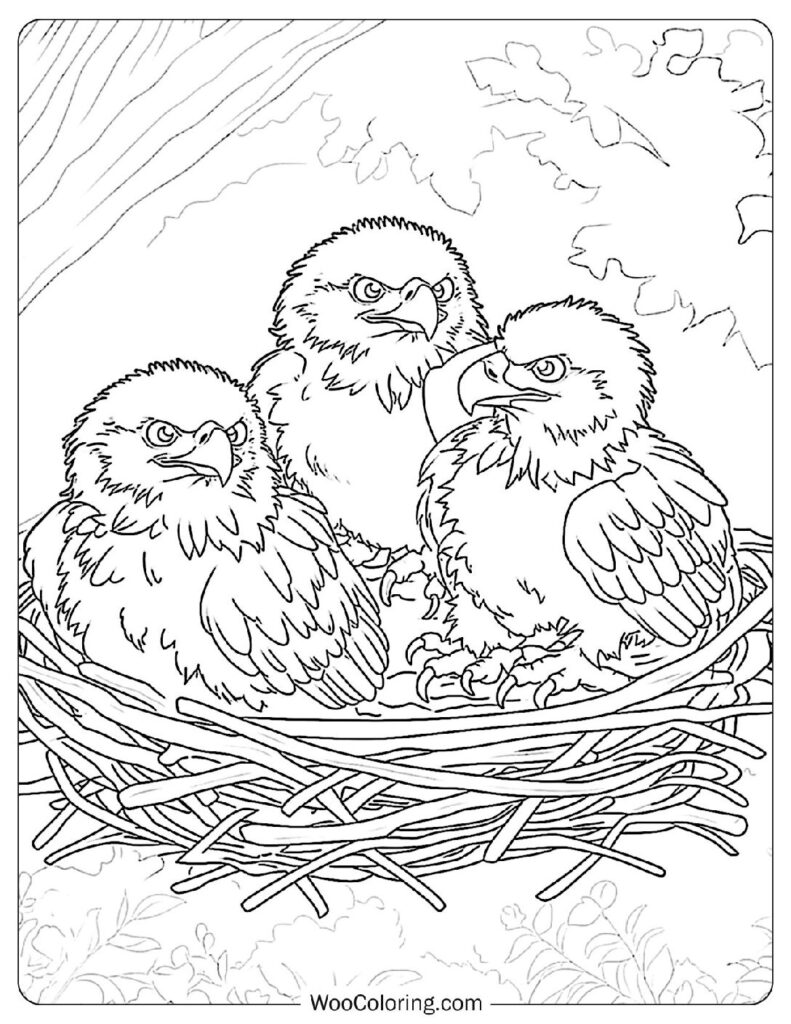 100  Bald Eagle coloring pages  Free PDF To Print  - 77