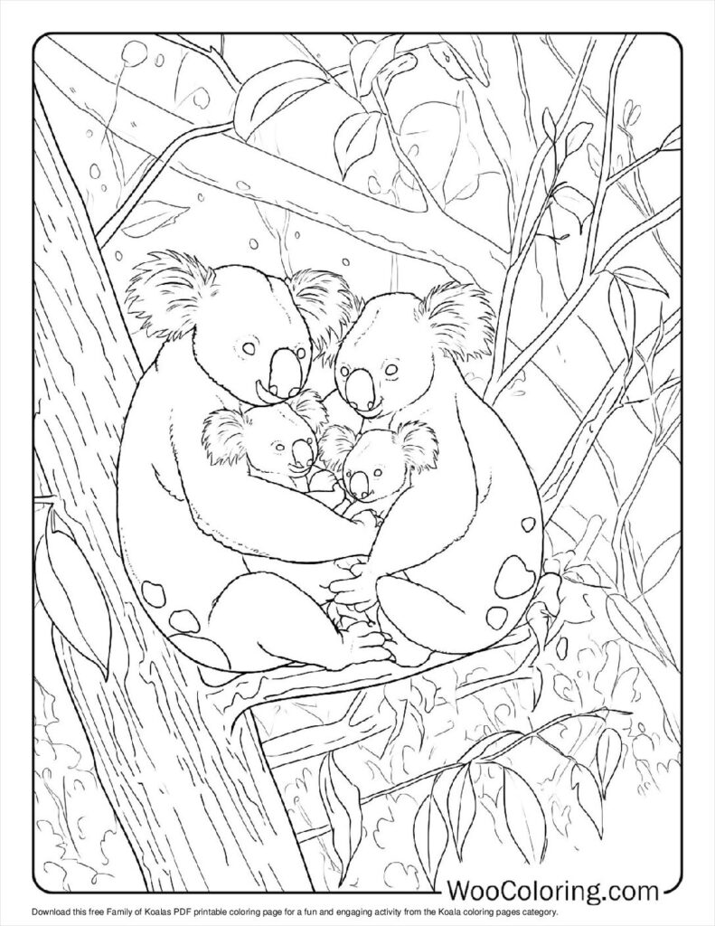 100  Koala coloring pages  Free PDF To Print  - 79