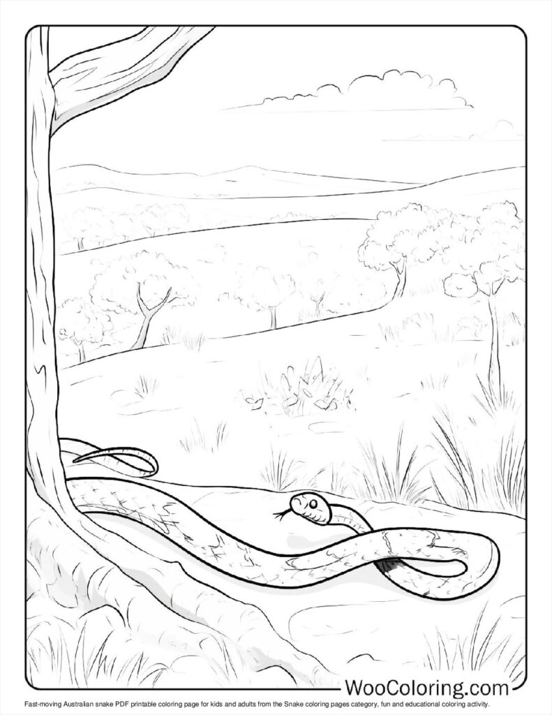 Fast-moving Australian snake