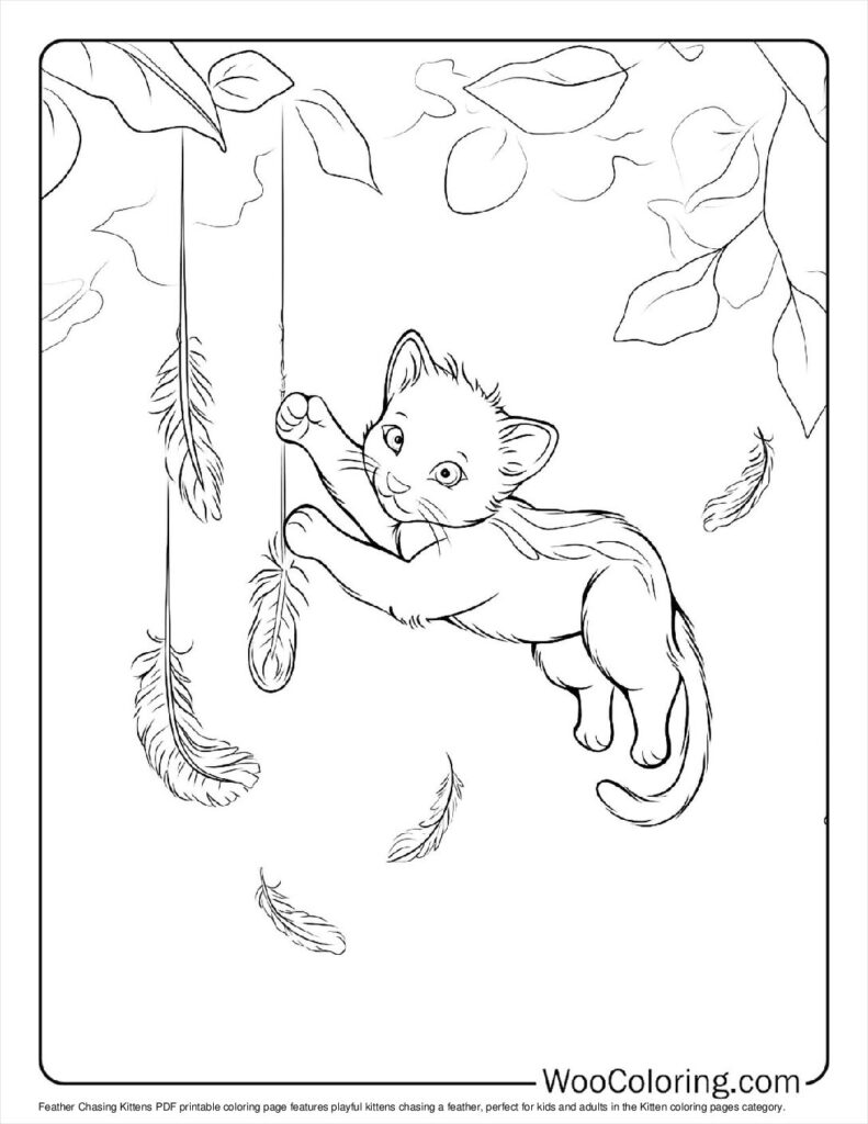 100  Kitten coloring pages  Free PDF To Print  - 38