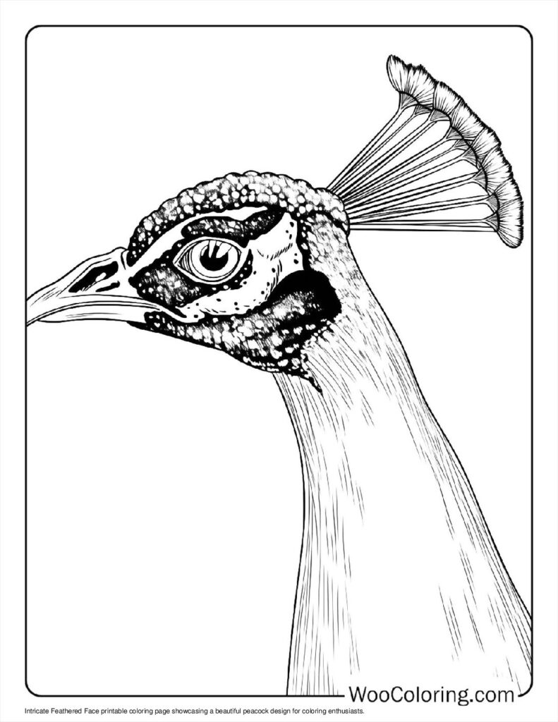 100  Peacock coloring pages  Free PDF To Print  - 48