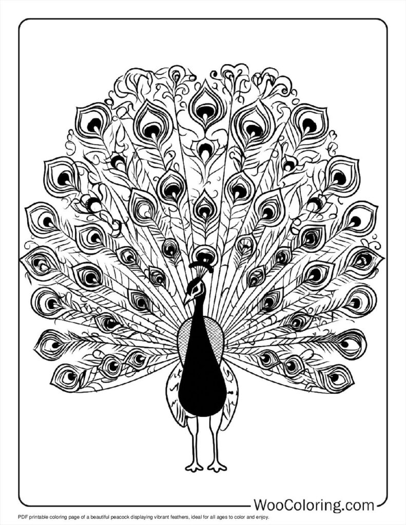 100  Peacock coloring pages  Free PDF To Print  - 22