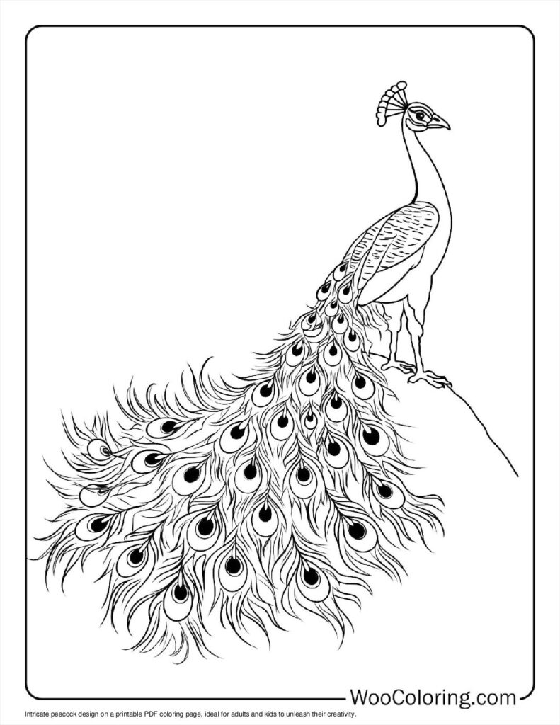 100  Peacock coloring pages  Free PDF To Print  - 93