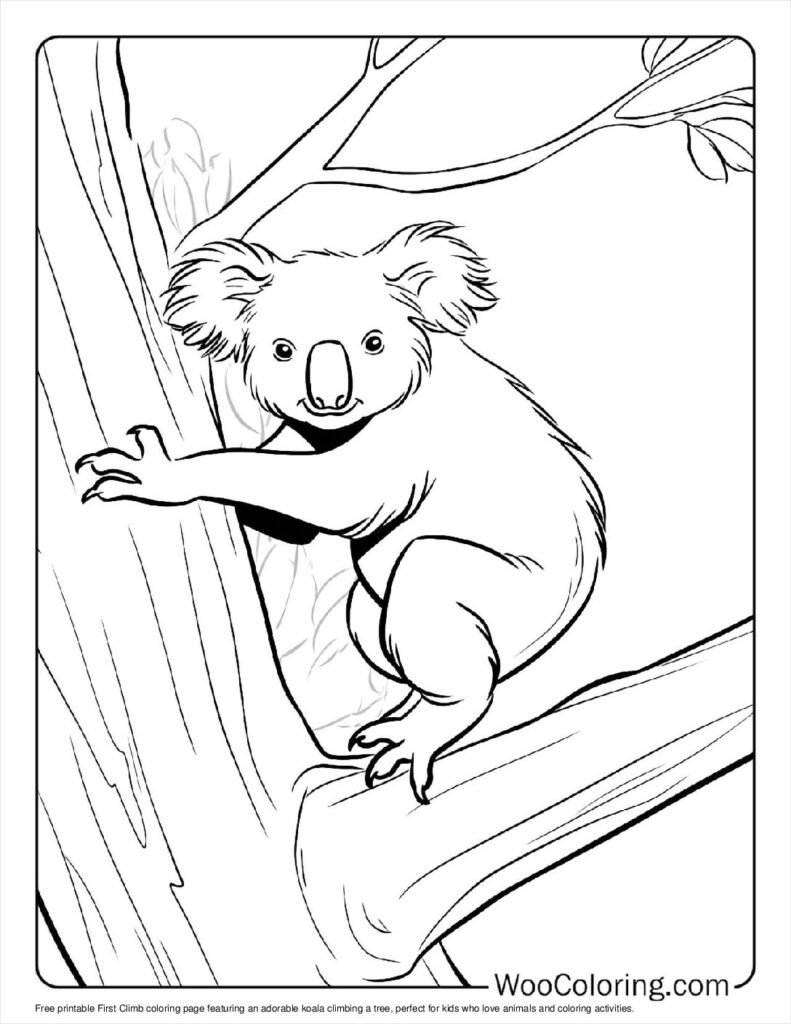 100  Koala coloring pages  Free PDF To Print  - 9