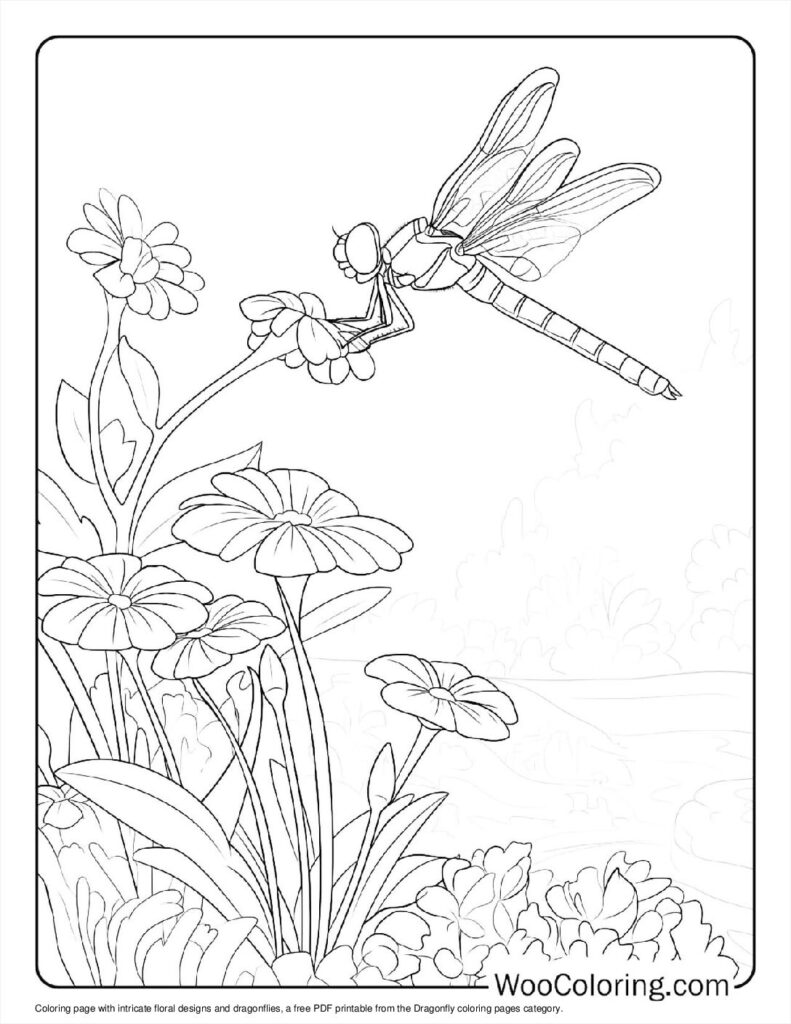 100  Dragonfly coloring pages  Free PDF To Print  - 80