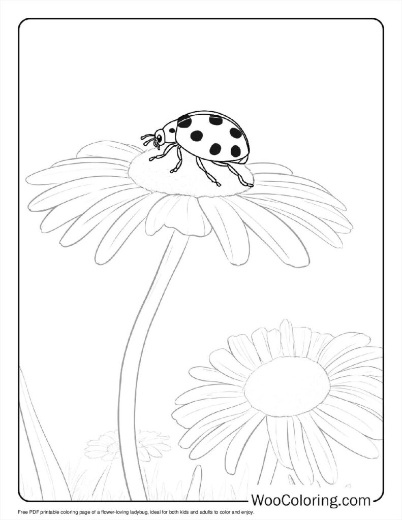 100  Ladybug coloring pages  Free PDF To Print  - 48