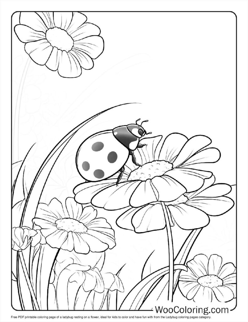 100  Ladybug coloring pages  Free PDF To Print  - 41