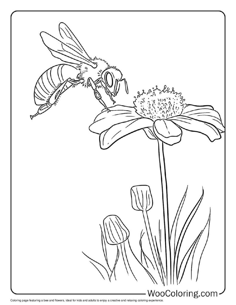 Flower and Bee Duo For Kids
